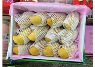 鎮(zhèn)江塑料發(fā)泡網(wǎng)
