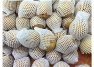 鎮(zhèn)江水果發(fā)泡網(wǎng)